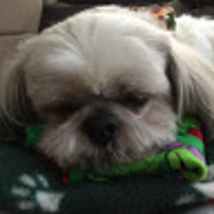 Meet your Posher, Ashlee